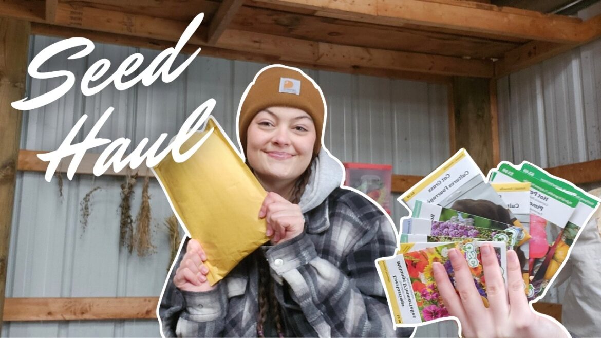 Seed Order Haul & Digging Out My Garden Supplies! Seed Order Haul & Digging Out My Garden Supplies!