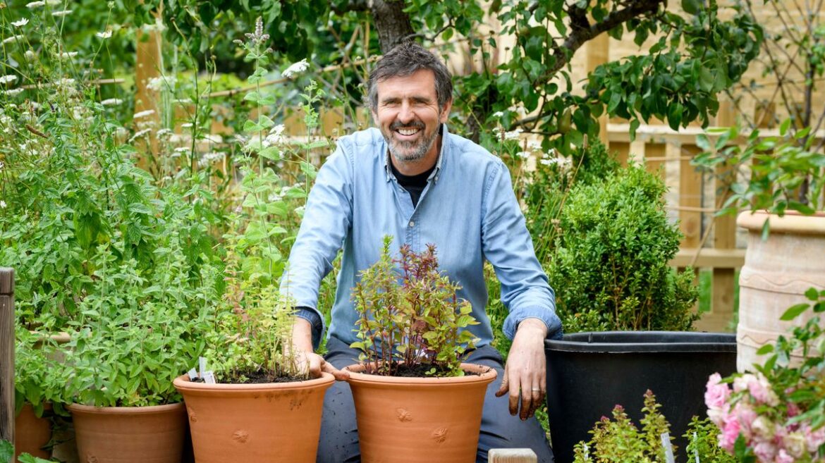Celebrity gardener Adam Frost shares his top tips for the perfect spring garden Daily Mirror