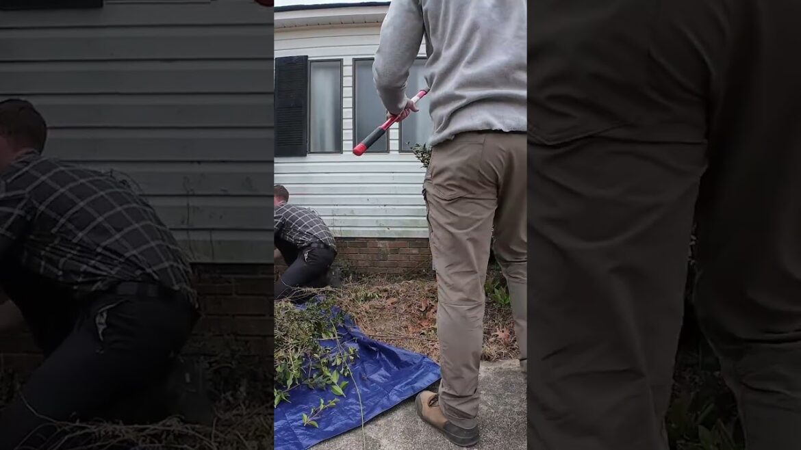 Starting This Homeowner Backyard Landscape Transformation Surprise Today