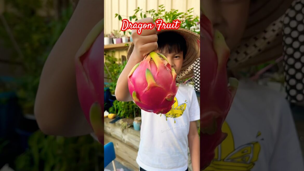 Fruit Cutting Dragon Fruit 😱 #shorts #satisfying #fruit #enjoy #garden