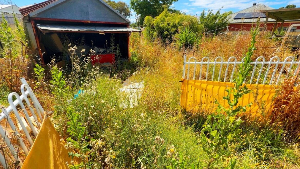 Why Did They Leave Grandma's House to Rot This Way? - I Found Some Strange Things Here