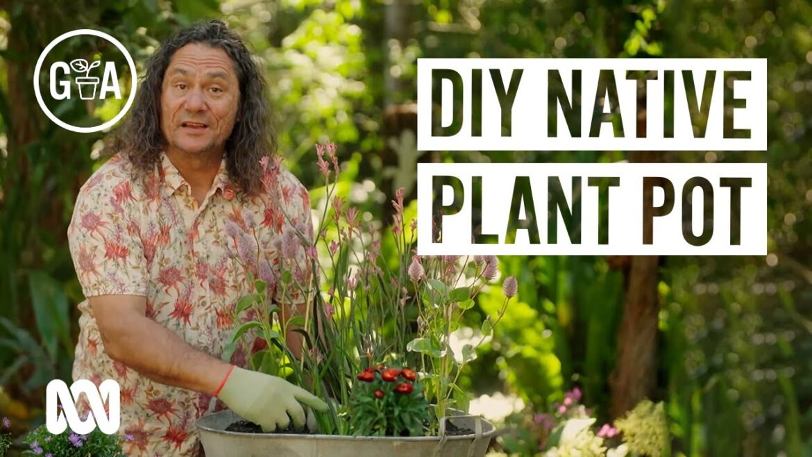 DIY Native Plant Pot | Gardening 101 | Gardening Australia DIY Native Plant Pot | Gardening 101 | Gardening Australia