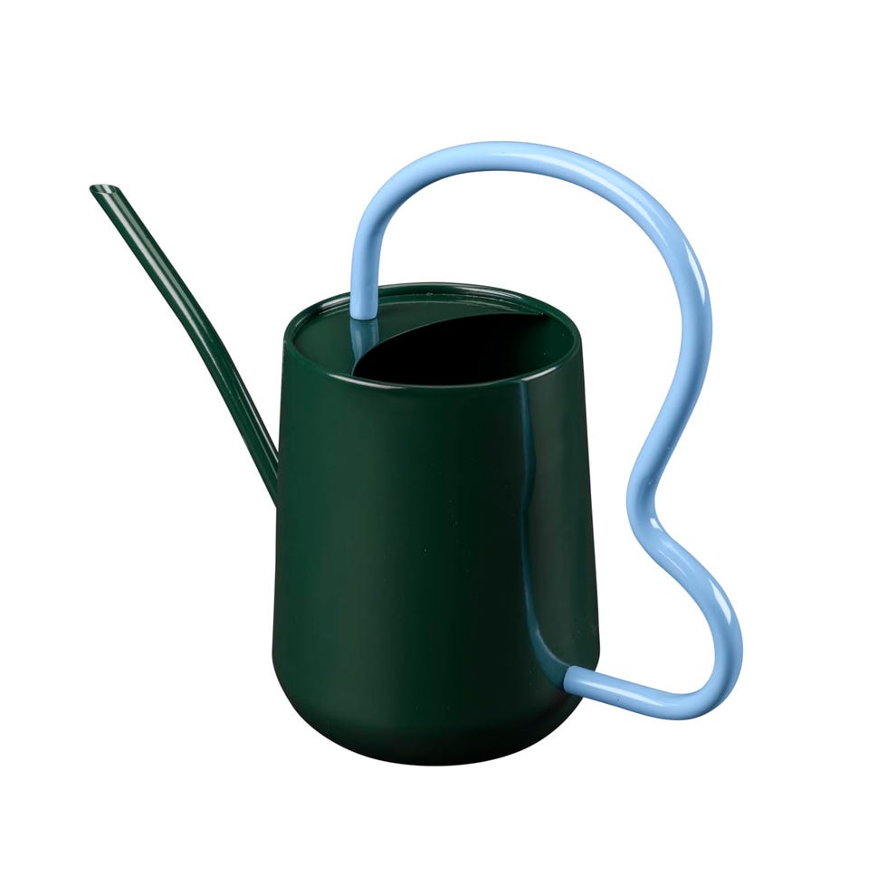 Scalloped Indoor Watering Can