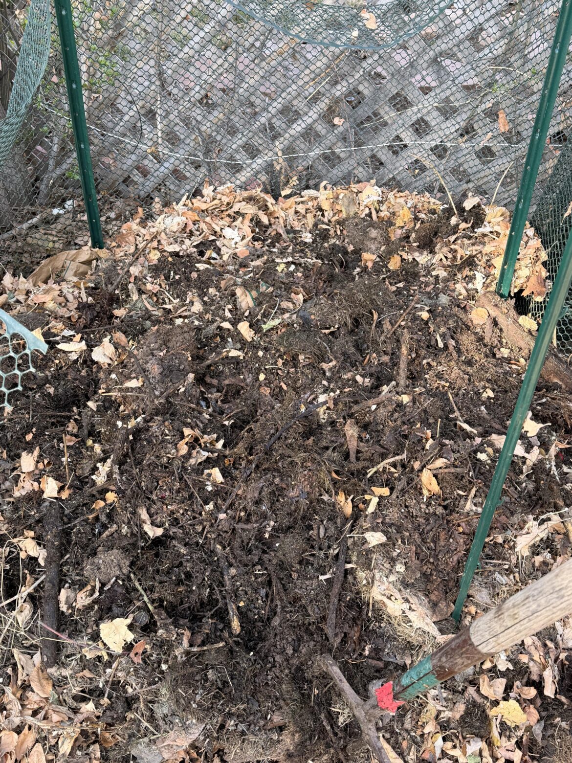 first turn after winter, looking ok?