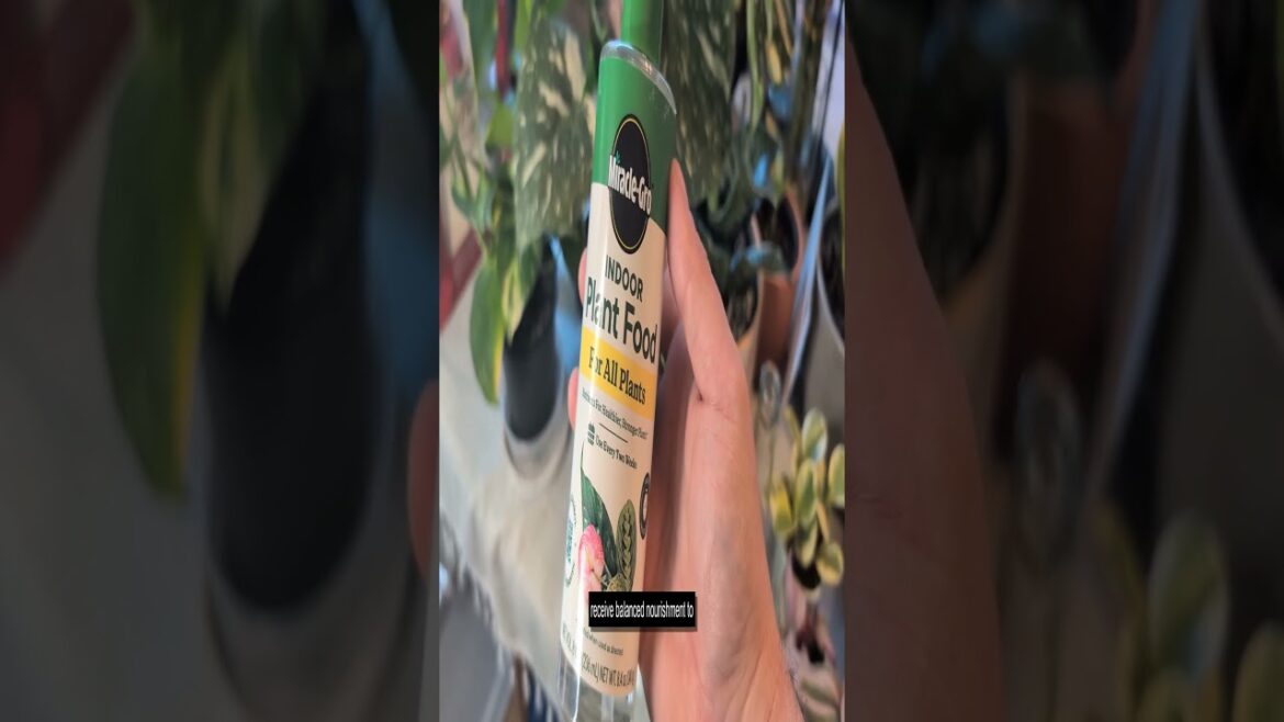 Boost Your Indoor Plants with Miracle-Gro Liquid Plant Food for Flowers Herbs and Veggies Boost Your Indoor Plants with Miracle-Gro Liquid Plant Food for Flowers Herbs and Veggies