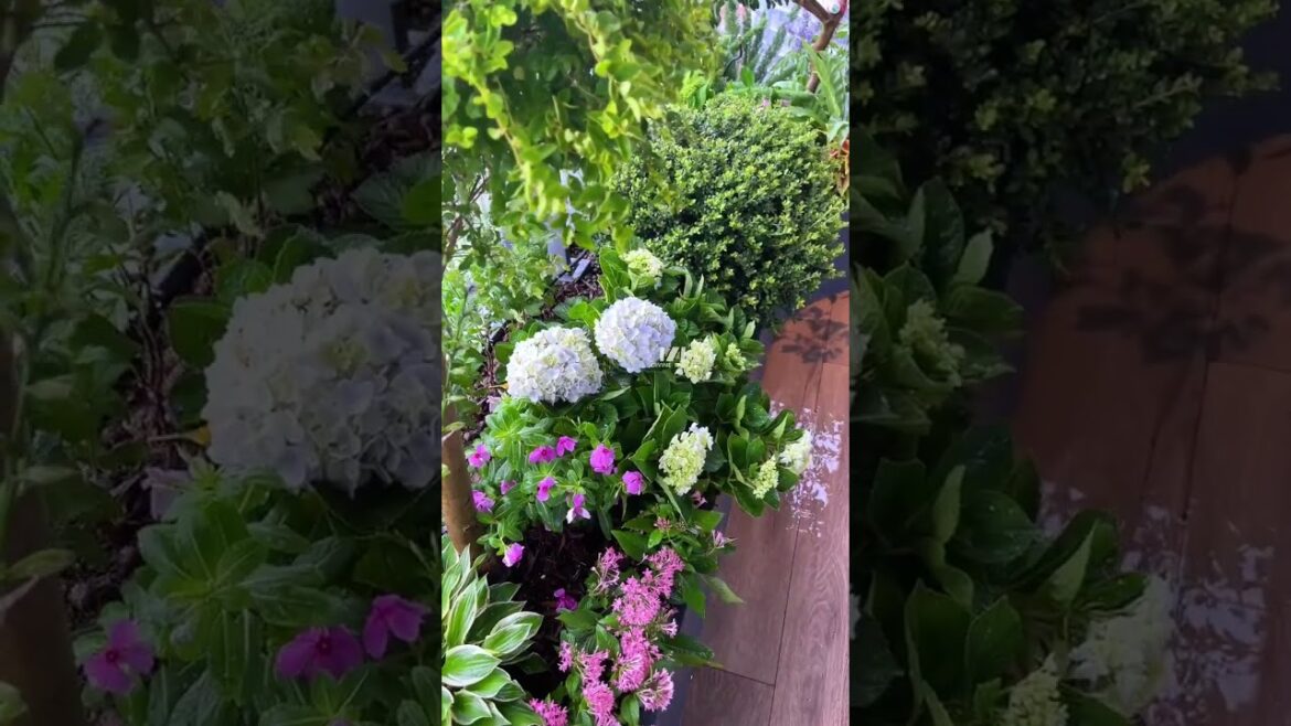 Having a Garden at Home #SpaceDesign #gardendesign #garden #plants Having a Garden at Home #SpaceDesign #gardendesign #garden #plants