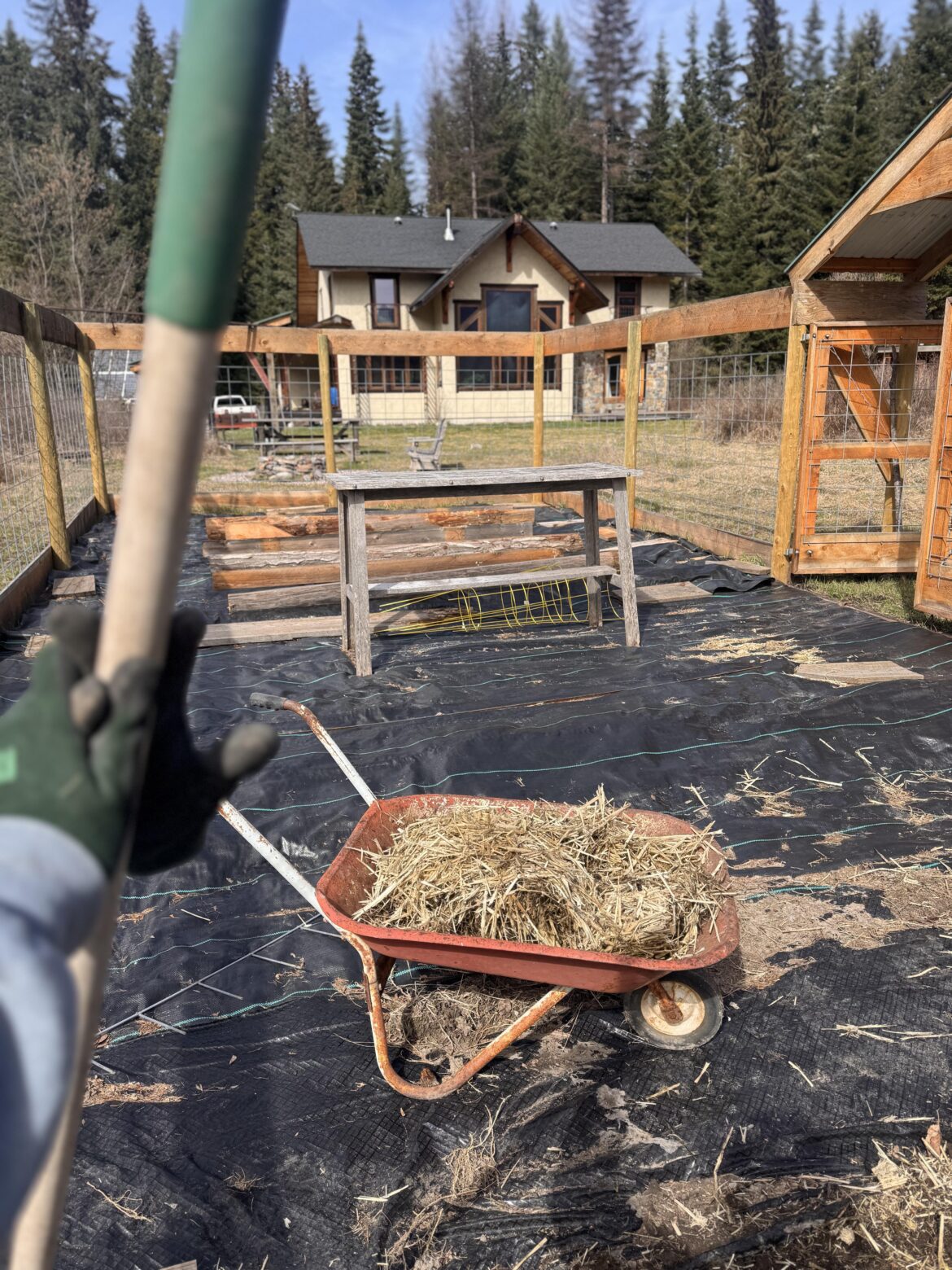 How long should garden beds be for a 16×40 layout? How long should garden beds be for a 16×40 layout?