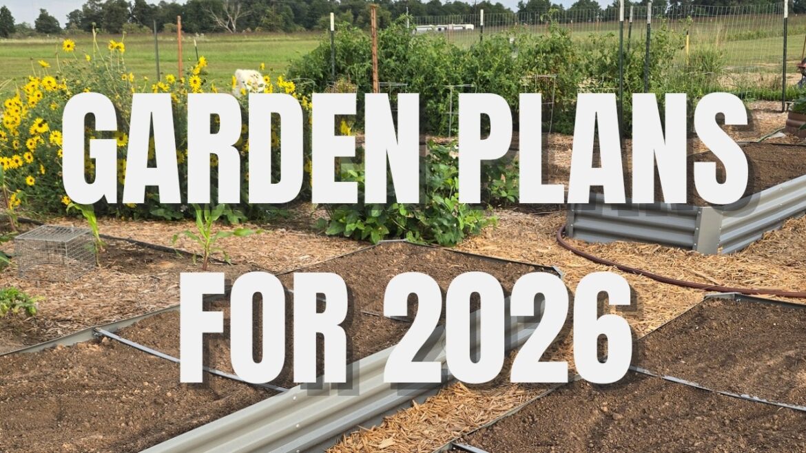 Garden Plans | How to plan your garden