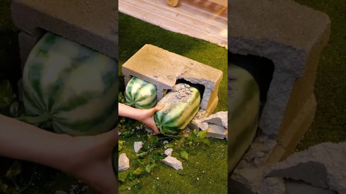 Genius Gardening Tips That Actually Work! 🌼#viral #short