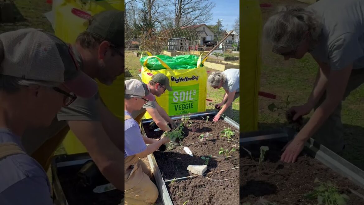 Got any garden plans this weekend? #gardening #growninsoil3