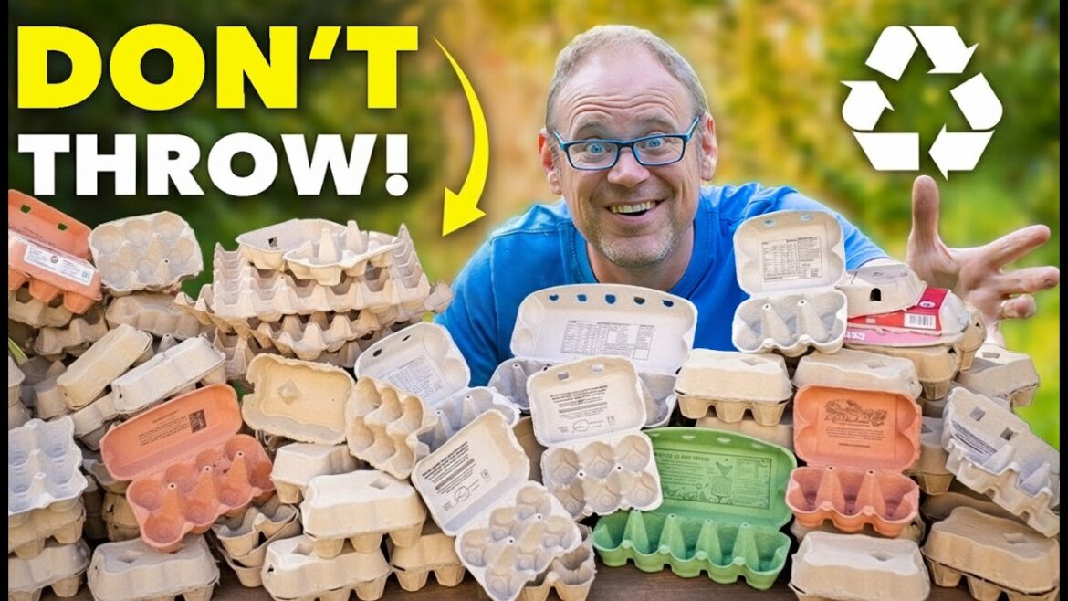 The Clever Reason Smart Gardeners Hoard Egg Cartons The Clever Reason Smart Gardeners Hoard Egg Cartons