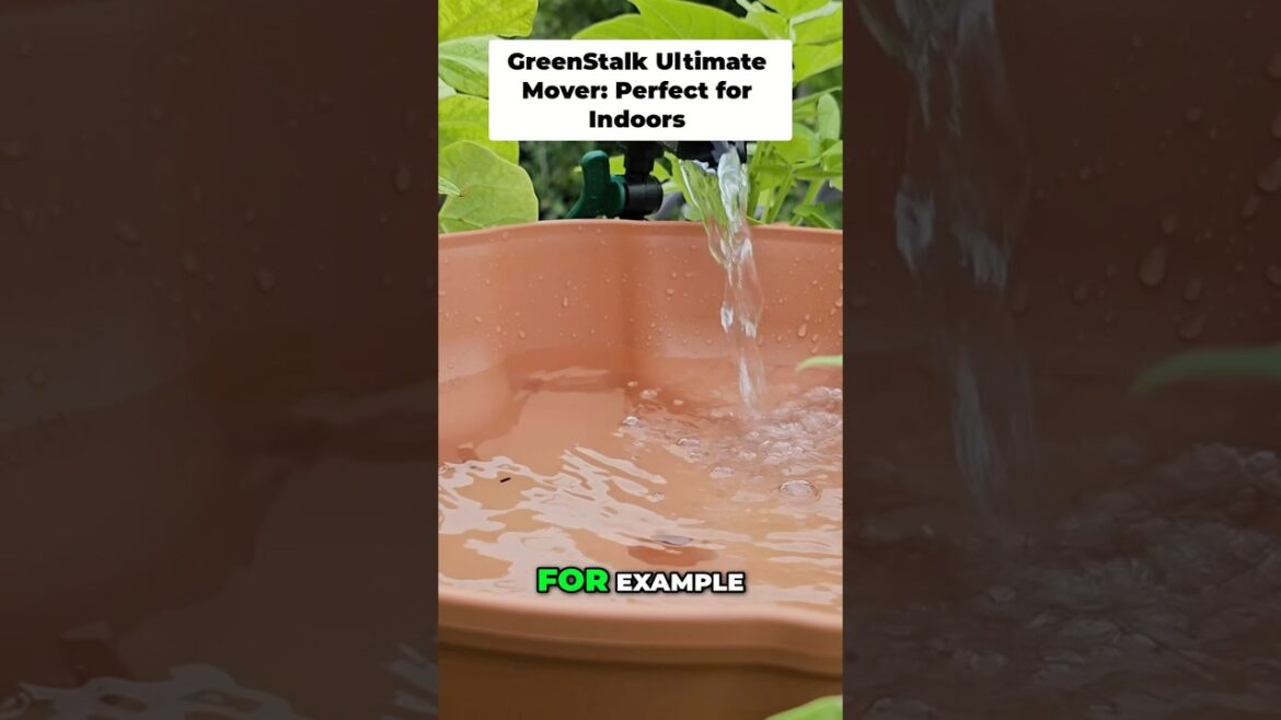 GreenStalk Ultimate Mover: The Perfect Indoor Planter Solution!