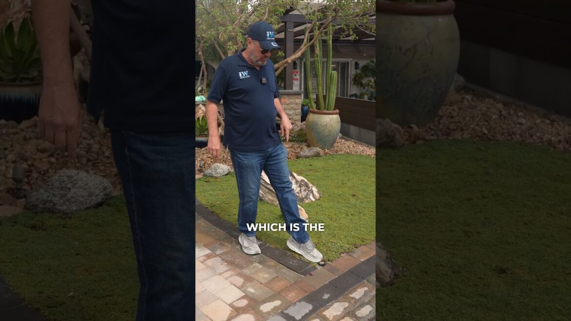 StarCarpet®️ | The SNWA-Approved Grass Alternative! 🌱 StarCarpet®️ | The SNWA-Approved Grass Alternative! 🌱