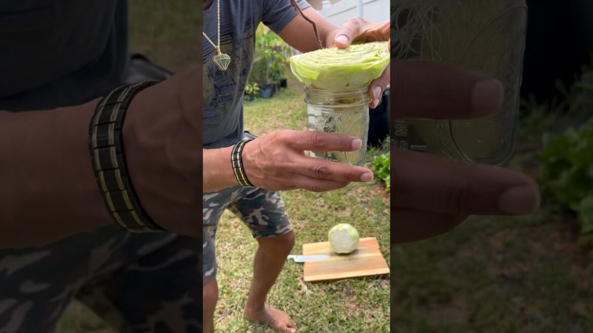 Did you know…            #shorts