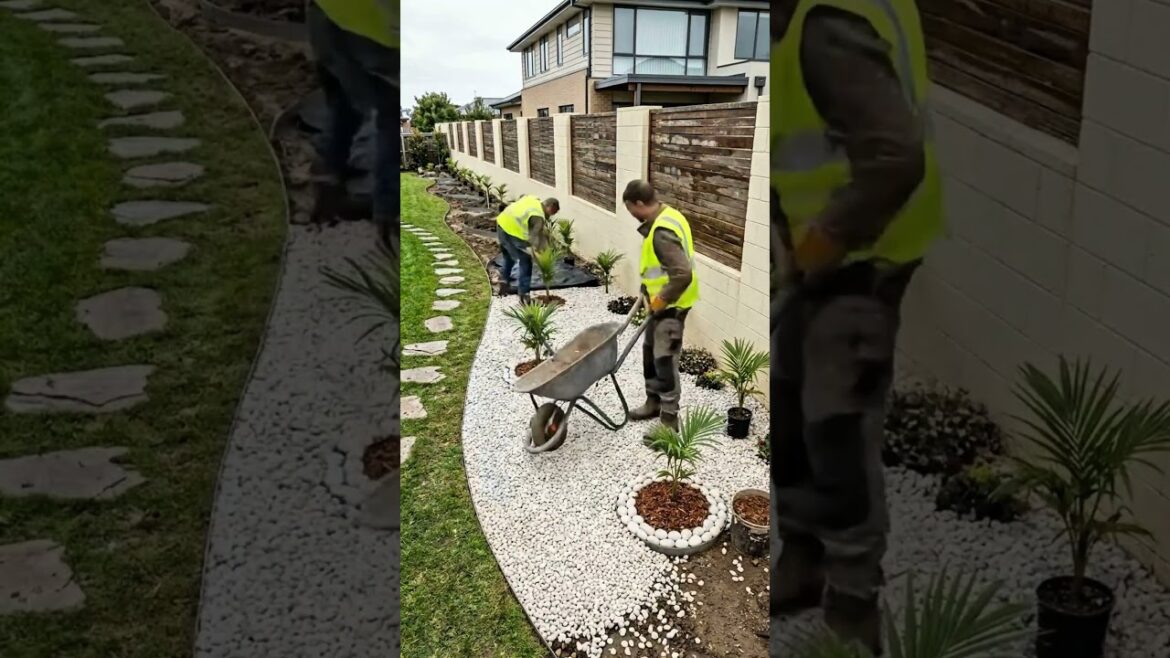 Luxury White Pebble Garden Design 🌿✨ | Beautiful Palm Landscaping Transformation.