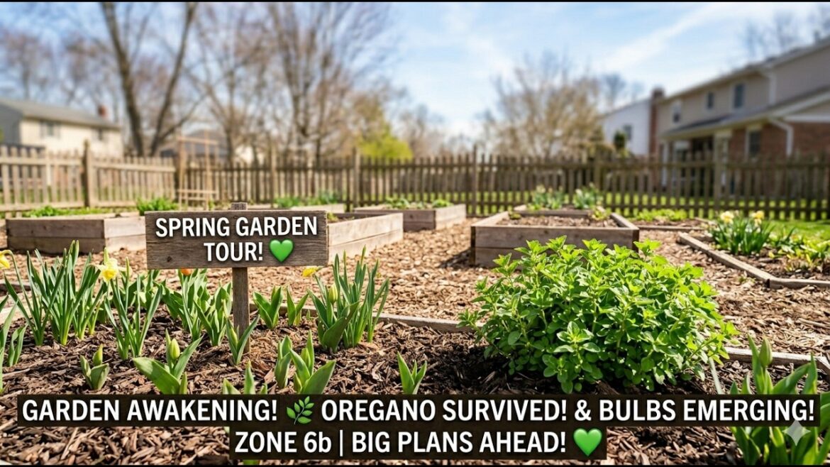 First Look: 2026 Spring Garden Tour 🌼 Columbus Zone 6b – My Plans + Bulb & Herb Update