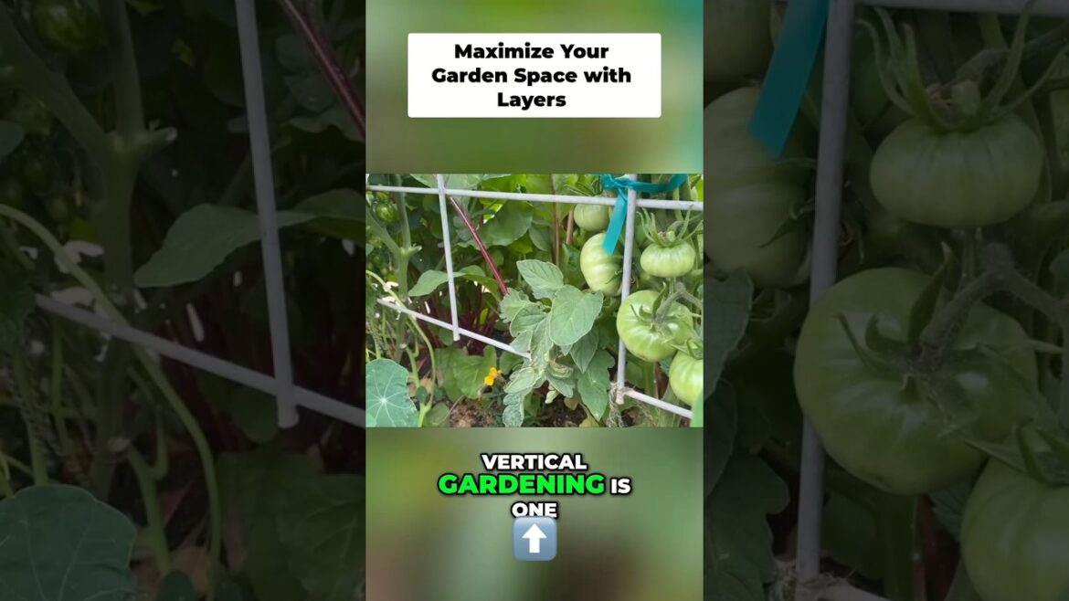 Plant These 4 Layers and Never Buy Vegetables Again #garden #vegetables