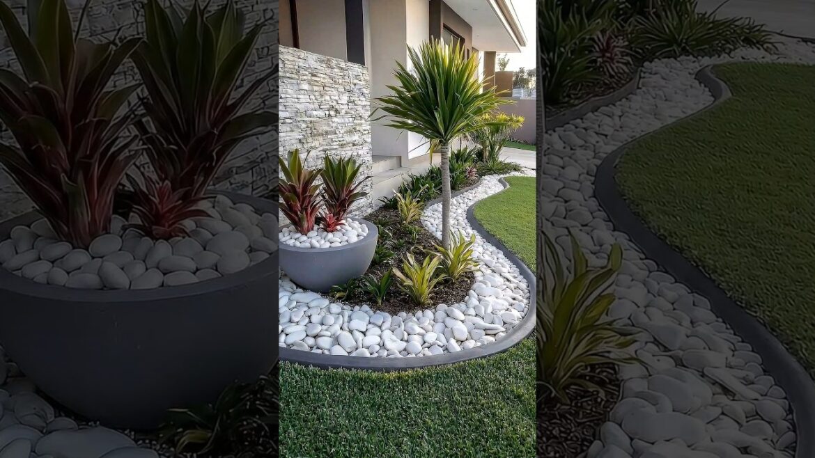 Modern Front Yard Landscaping | Clean & Luxury Design #modernhome#gardendesign#landscaping#frontyard Modern Front Yard Landscaping | Clean & Luxury Design #modernhome#gardendesign#landscaping#frontyard