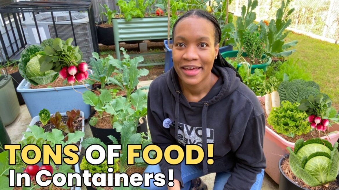 Container Gardening Secret Done Right: Grow a TON of Food in Small Spaces 🔥🥬 Container Gardening Secret Done Right: Grow a TON of Food in Small Spaces 🔥🥬