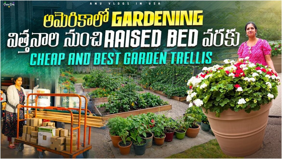 అమెరికా లో వ్యవసాయం #EP-1# /Indian vegetable garden in USA/ raised beds preparation/ seed collection అమెరికా లో వ్యవసాయం #EP-1# /Indian vegetable garden in USA/ raised beds preparation/ seed collection