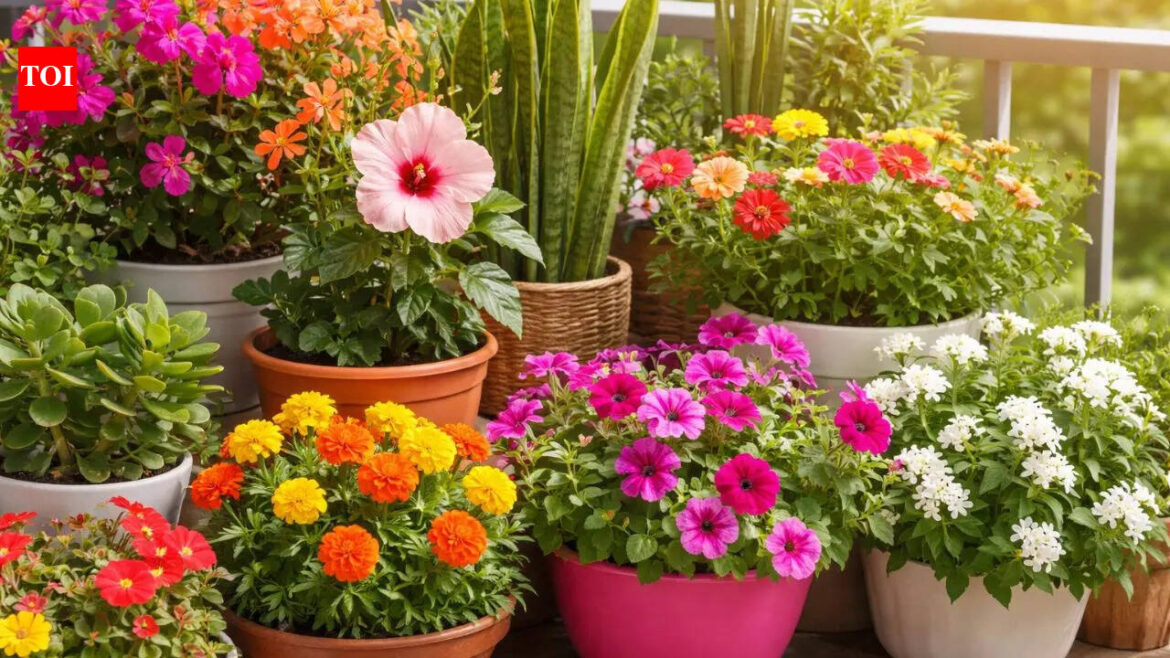 10 heat-tolerant plants that thrive in Indian summers