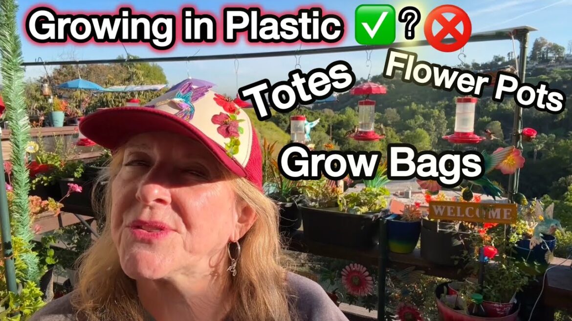What To Know Before Growing In Plastic Containers for Food Vegetable Container Gardening RAISED BED