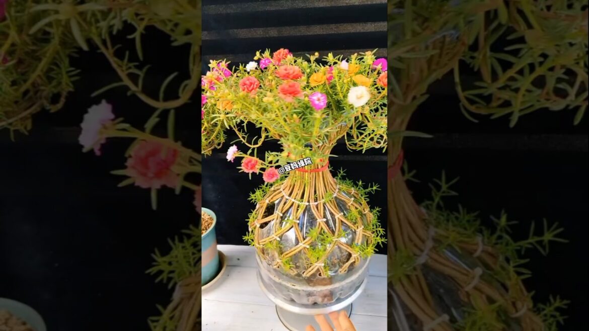 Sharing Gardening Tips It's sunflower season again! I love the pineapple lollipop shape! #bonsai