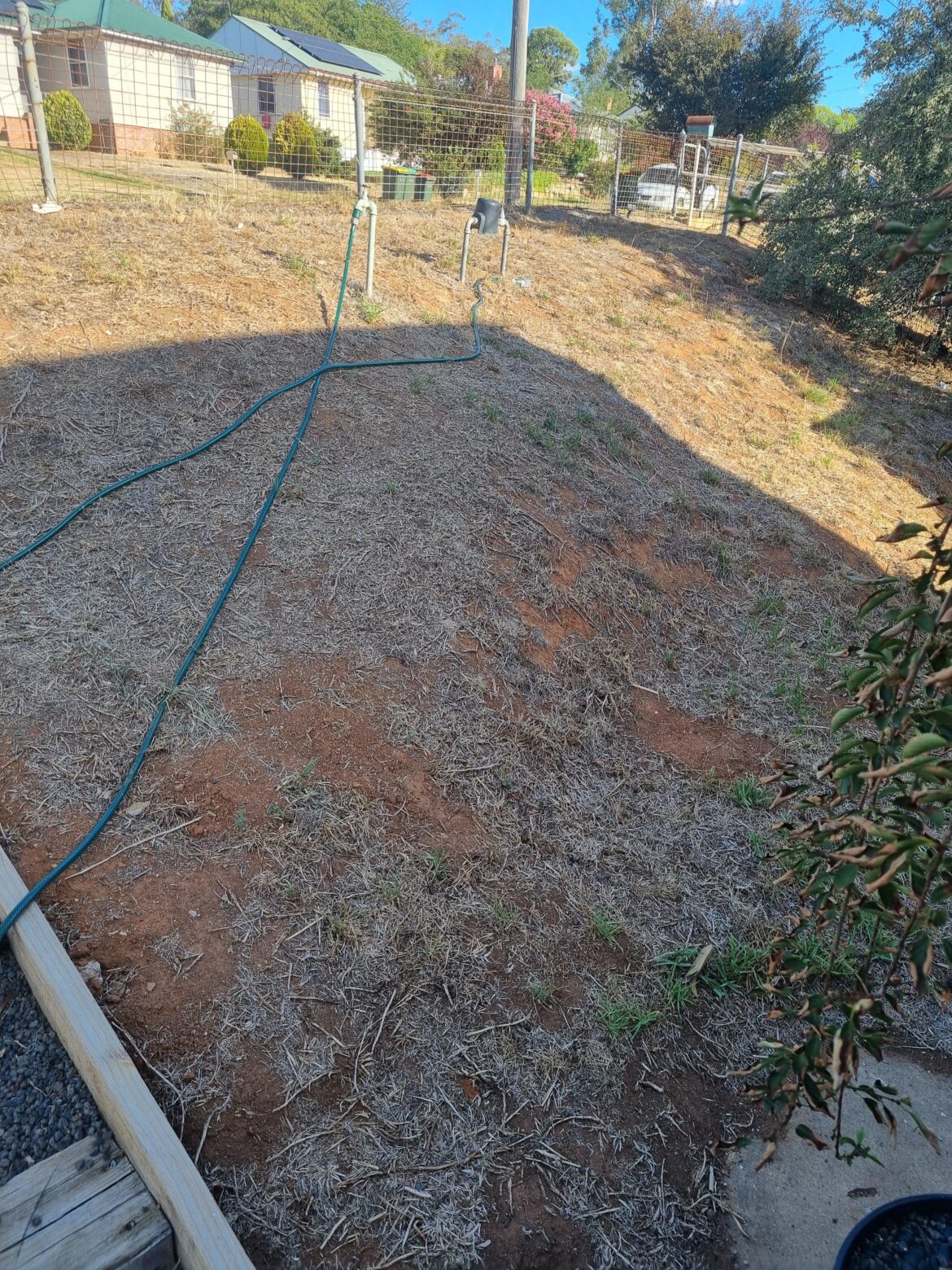 How should I best approach this garden area?