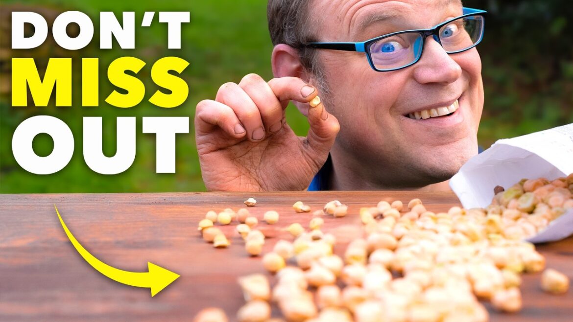 Start These Seeds in March or Regret It in Summer Start These Seeds in March or Regret It in Summer