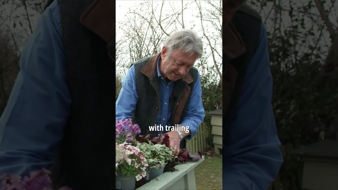 The Secret to a Stunning Spring Garden! The Secret to a Stunning Spring Garden!