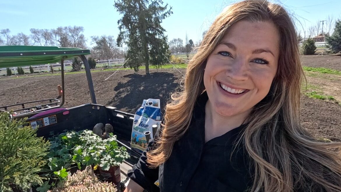 Planting 2 Small Evergreens & Pretty Perennials! 🌲🌸🌿 // Garden Answer
