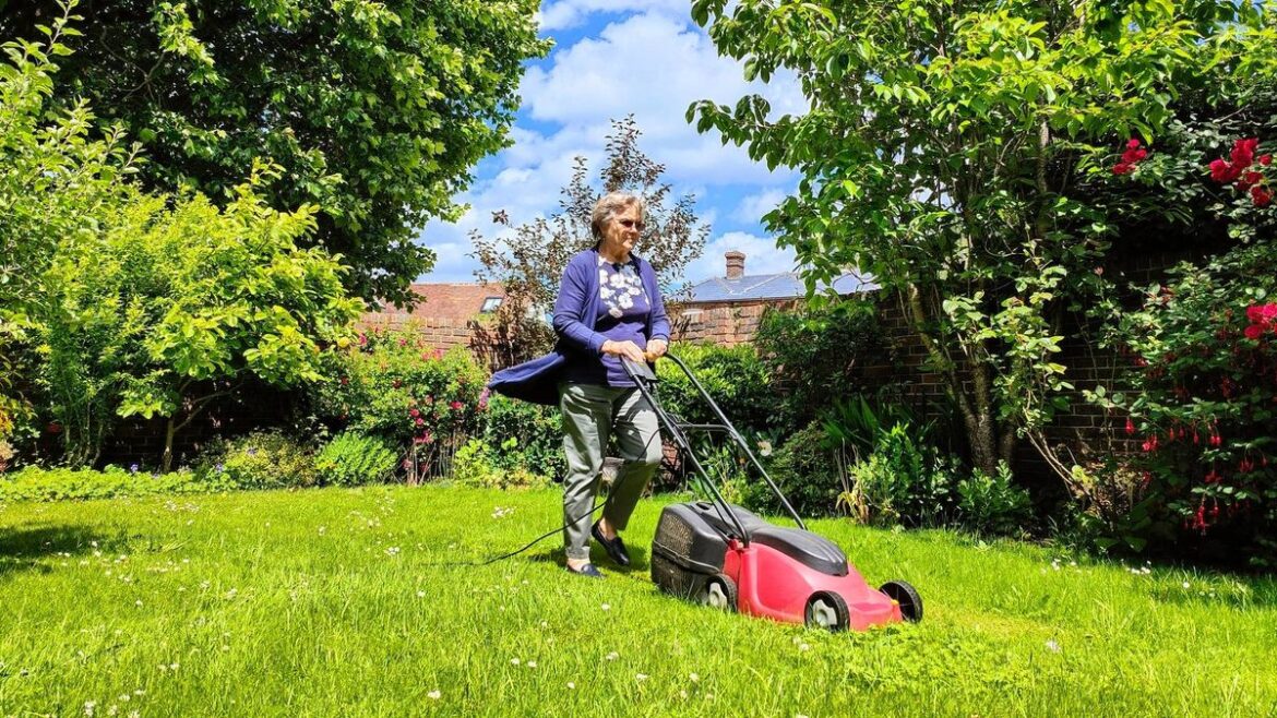 ‘I’m a gardener, here’s how to get a box of grass seed for less than £1’ Belfast Live