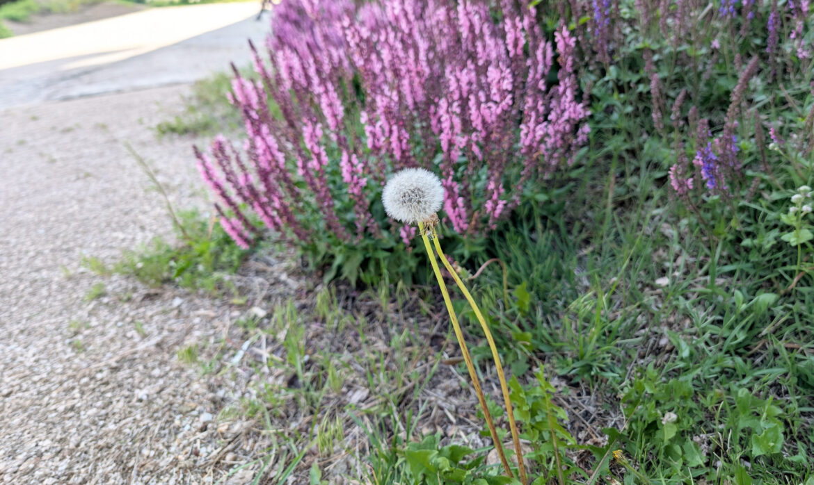 Timing is everything in the Spring – KCSR / KBPY