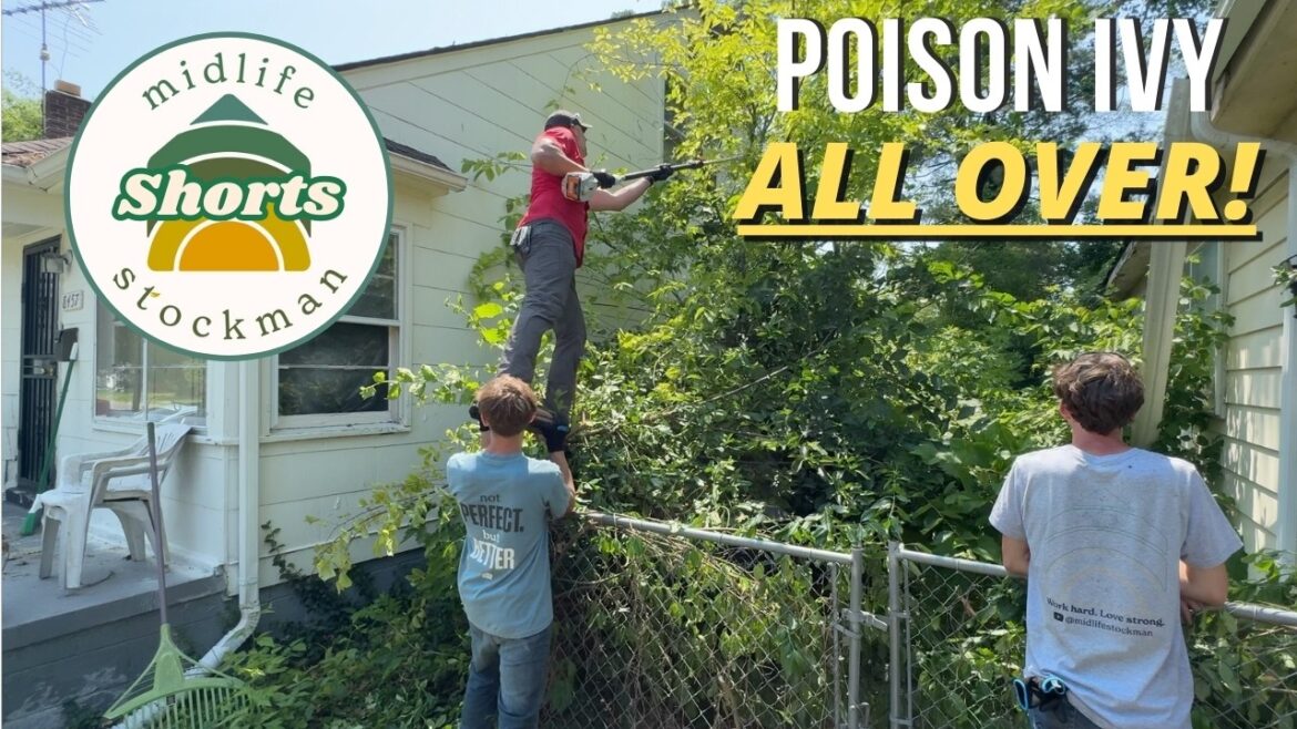 This House Had a Backyard That Couldn't Be Saved...