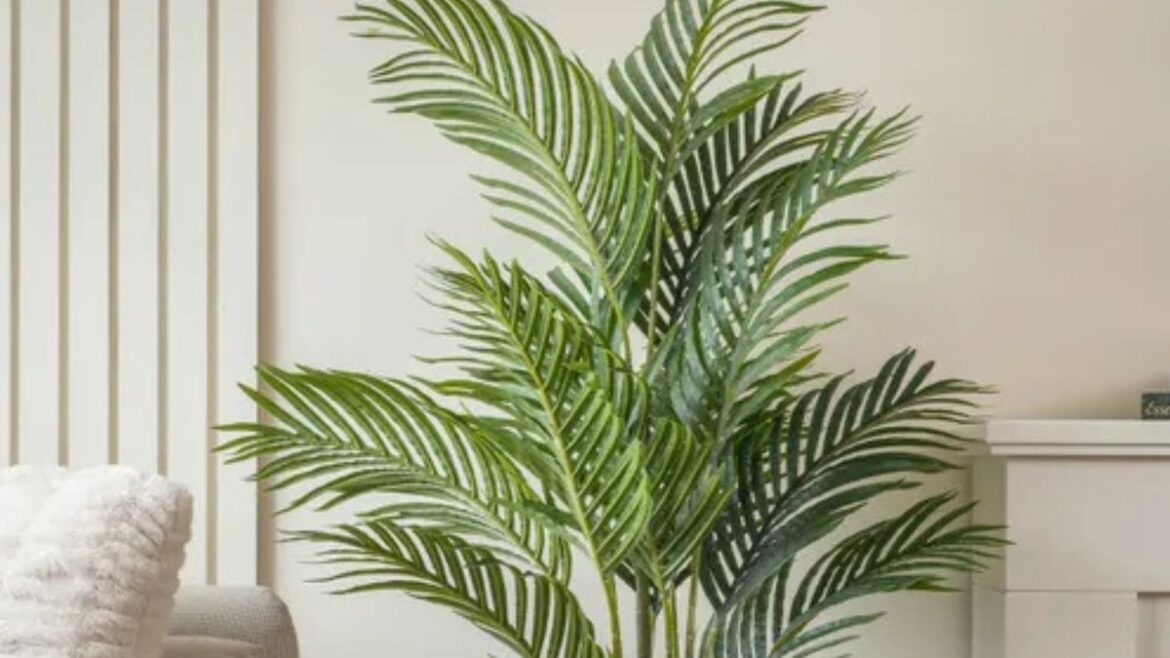 Dunelm’s large and ‘incredibly realistic’ palm plant for neglectful gardeners hits sale Daily Mirror