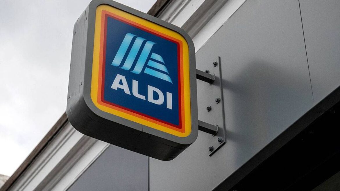 Aldi £10 garden décor ‘brightens up’ pathways and flower beds Liverpool Echo