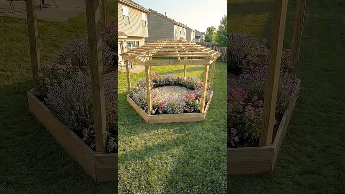 From Empty Backyard to Hexagon Garden Pavilion #garden #reels #satisfying From Empty Backyard to Hexagon Garden Pavilion #garden #reels #satisfying