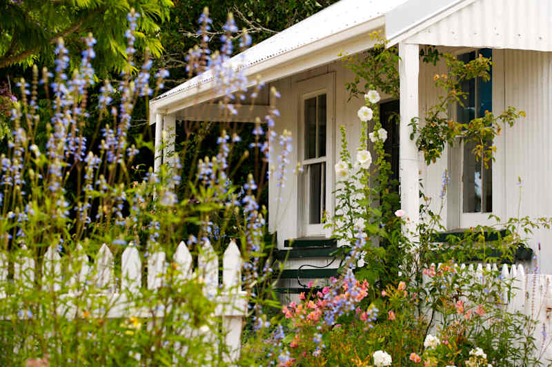 This “Heirloom” Trend Transformed My Garden Just in Time for Spring This “Heirloom” Trend Transformed My Garden Just in Time for Spring