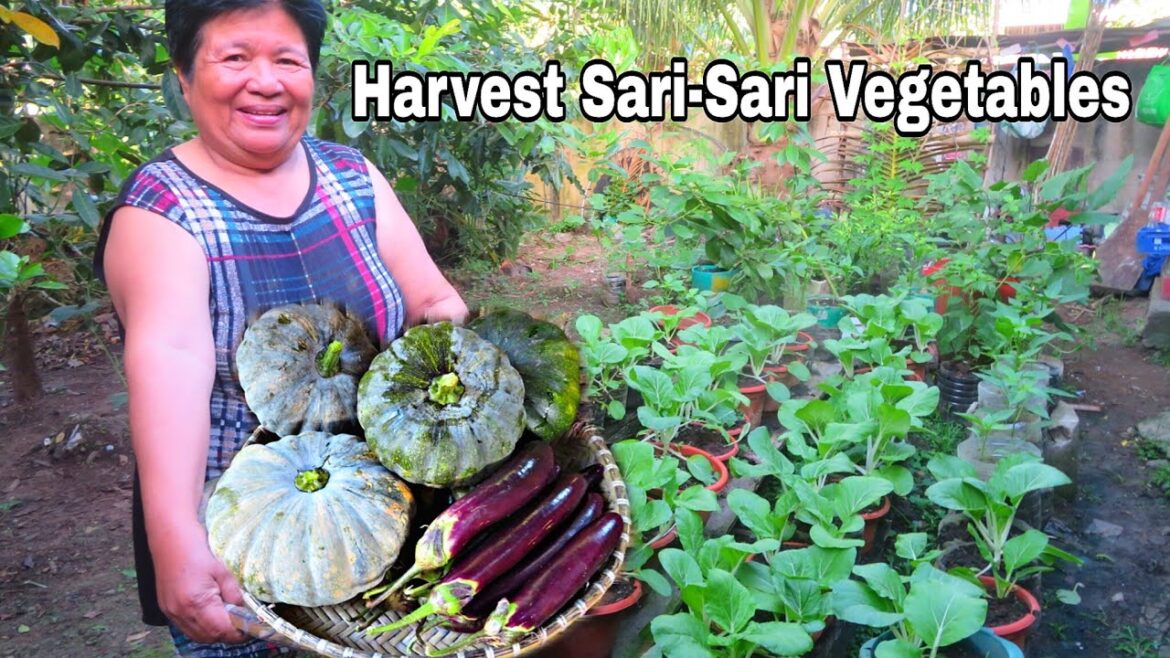 BACKYARD GARDEN TOUR | Harvest Sari-Saring Gulay & Cooking
