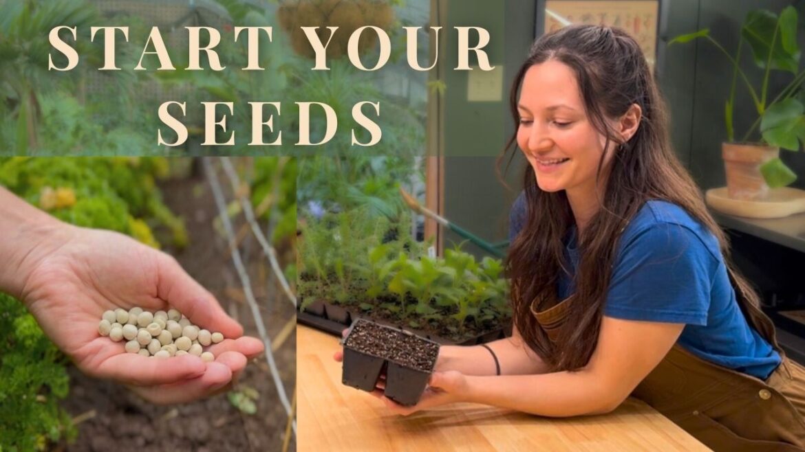 Edible Gardening for Beginners Ep. 4 | Starting Seedlings at Home Edible Gardening for Beginners Ep. 4 | Starting Seedlings at Home