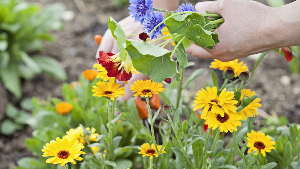 Met Office shares ‘gardeners beware’ warning Liverpool Echo