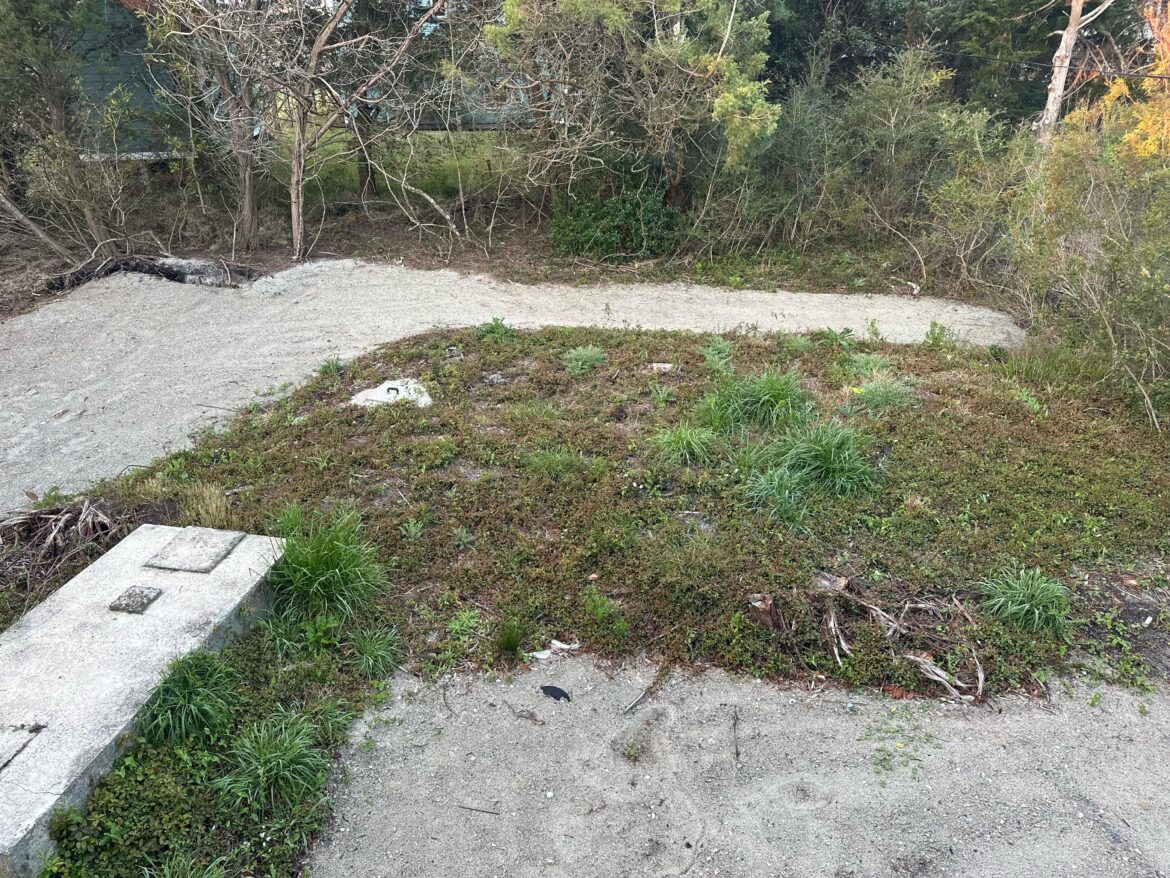 Backyard Landscaping