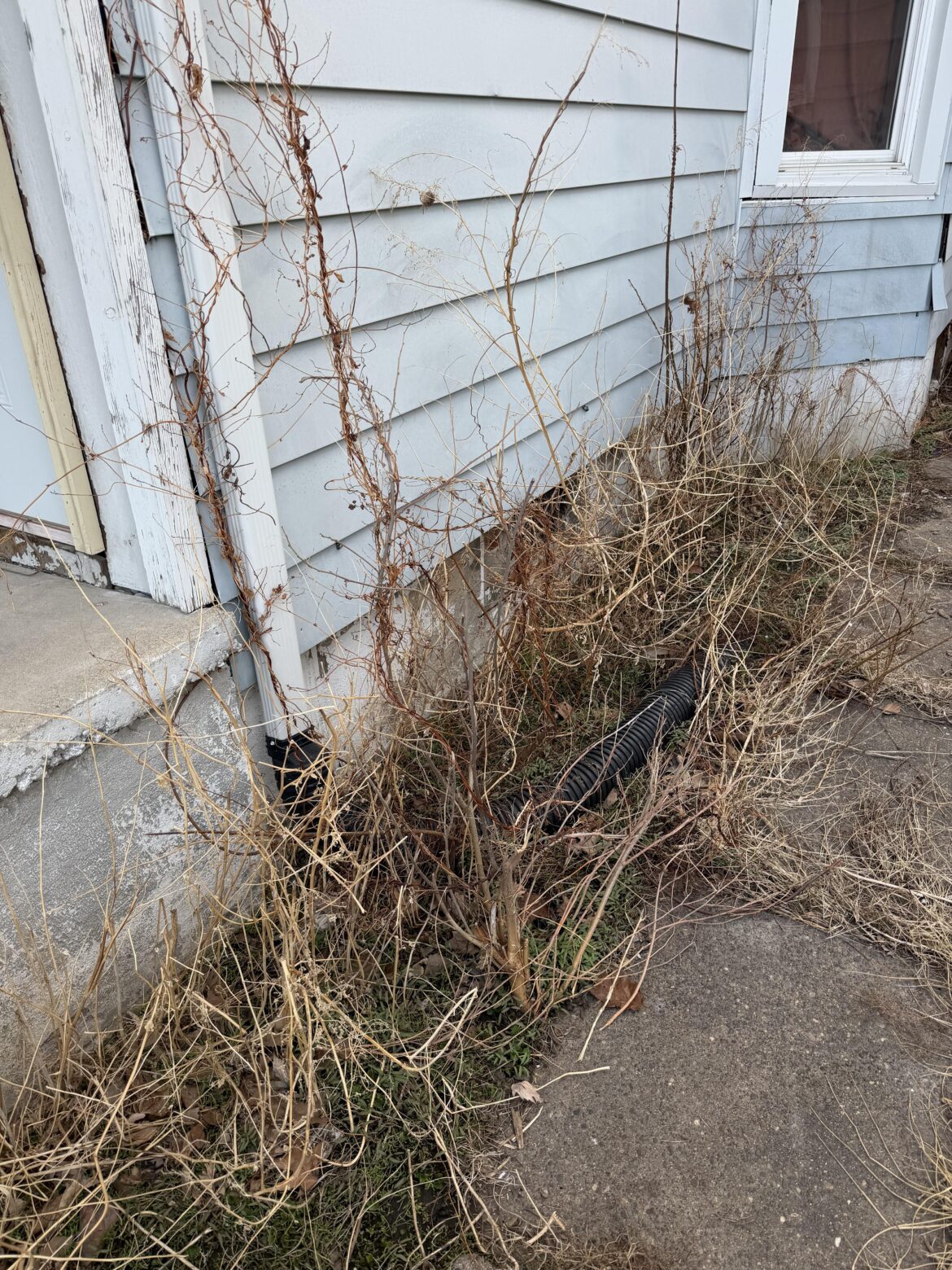 How to remove these stubborn things