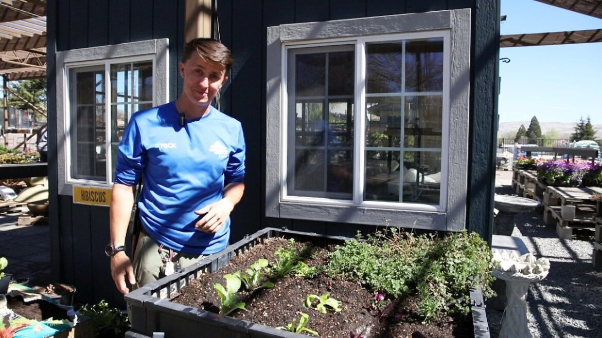 Cool Season Vegetable Gardening πΏ Cool Season Vegetable Gardening πΏ