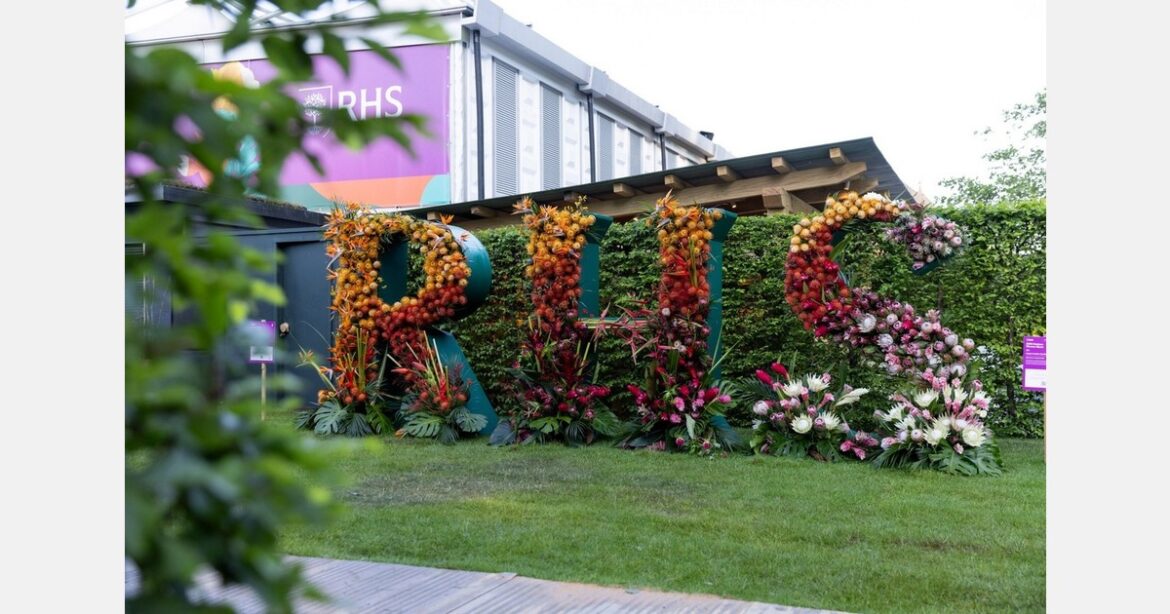 ING makes Chelsea Flower Show debut with contemporary art garden