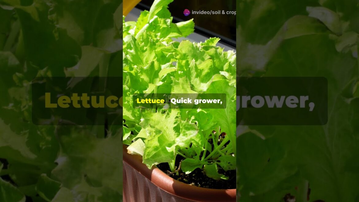 Best Edible Plants for Container Gardens 🌿🏡🪴 #ContainerGardening #UrbanFarming #GrowAnywhere