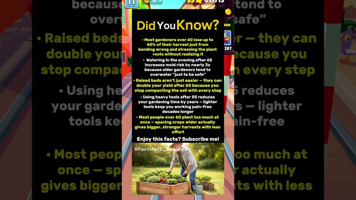 👍 Easy Gardening Tips for Seniors (Grow More with Less Effort)