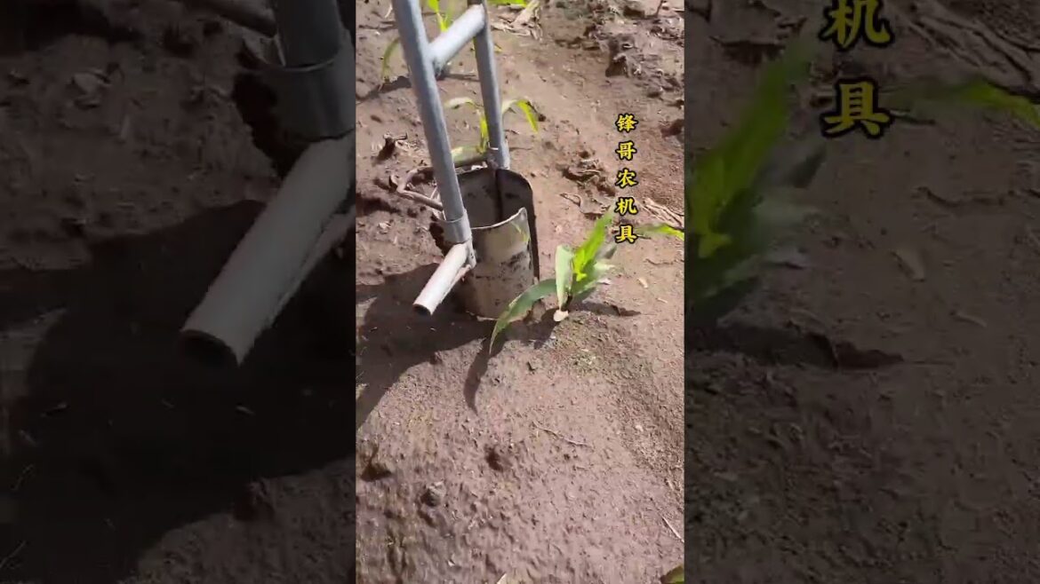Rt 91283100321015 #seeddrills#gardening #agriculture#tools plow#happycountryspringploughingseason
