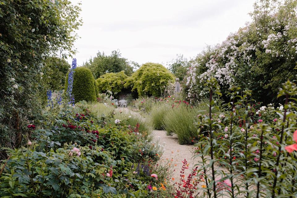 A vibrant garden pathway surrounded by various flowers and greenery.