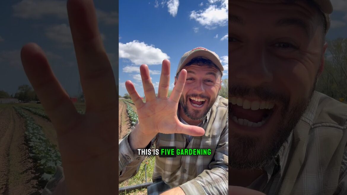 5 gardening HACKS #gardening #farming #gardentips